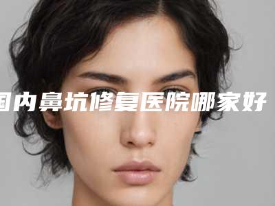 国内鼻坑修复医院哪家好:鼻坑修复医院前50哪家强